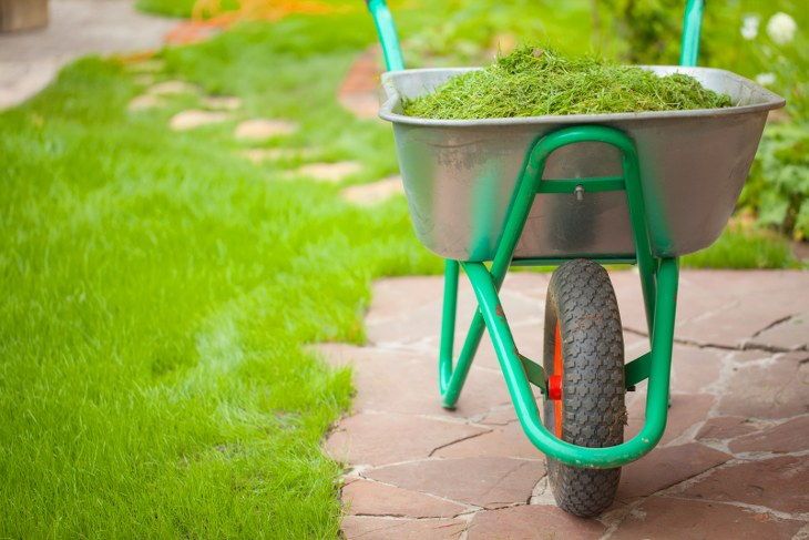 garden waste removal
