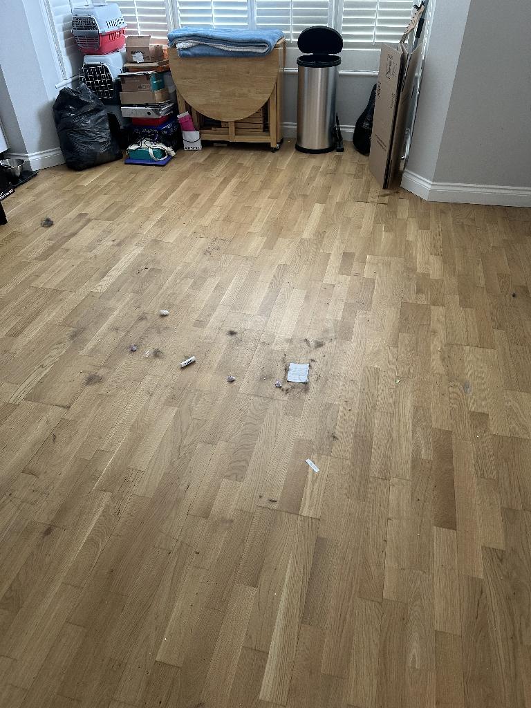 The room floor is cleared and open, with previously cluttering items removed. Small debris and packaging remain in the far corner near bins and cardboard.