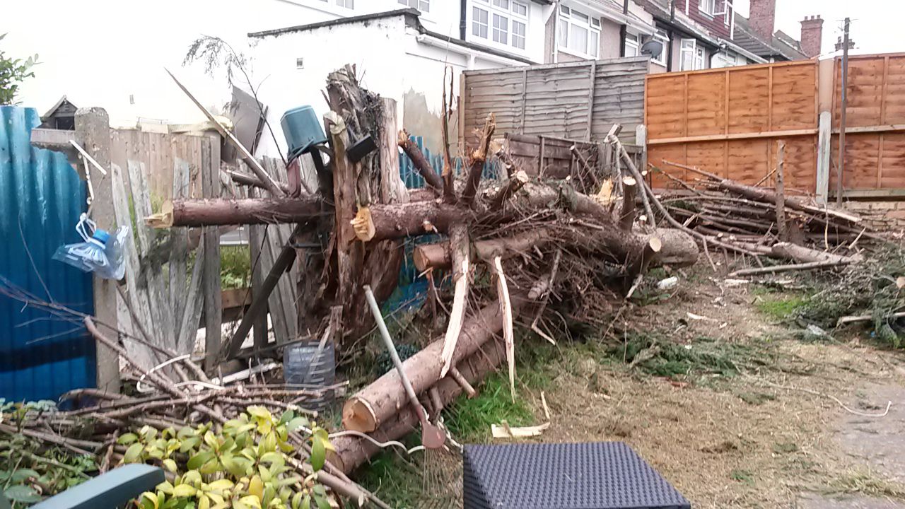 N17 green waste clearance Tottenham